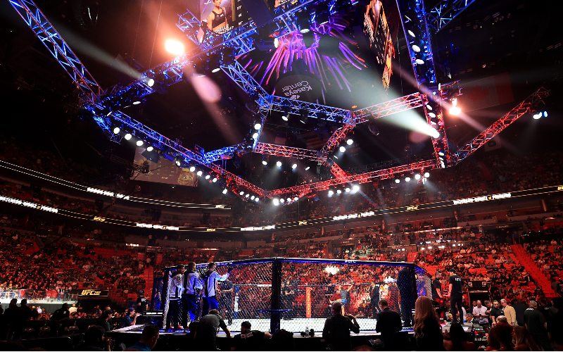 ufc-octagon ufc-octagon